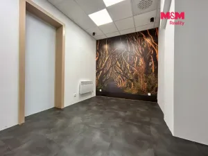 Pronájem obchodního prostoru, Nýrsko, Prap. Veitla, 23 m2