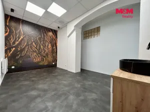 Pronájem obchodního prostoru, Nýrsko, Prap. Veitla, 23 m2