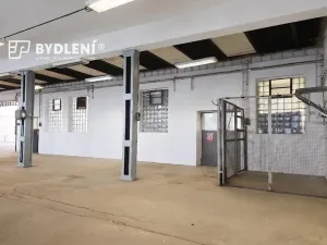Pronájem výrobních prostor, Bílina, Důlní, 222 m2