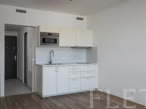 Pronájem bytu 1+kk, Praha - Libeň, Kurta Konráda, 33 m2