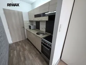 Pronájem bytu 1+kk, Doloplazy, 31 m2