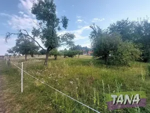 Prodej podílu zahrady, Radostná pod Kozákovem, 2566 m2
