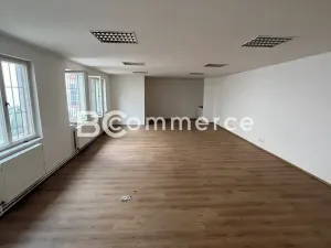Pronájem výrobních prostor, Brno, 698 m2