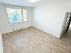 Prodej bytu 3+kk, Roudnice nad Labem, Hornická, 55 m2