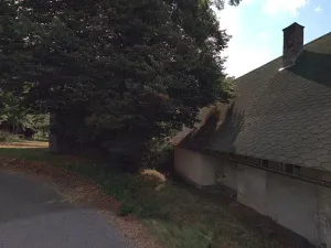 Dražba louky, Železný Brod, 377 m2