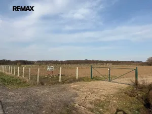Prodej sadu/vinice, Nové Dvory, 9979 m2