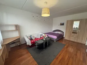 Pronájem bytu 1+1, Praha - Troja, Krynická, 30 m2