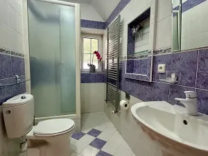 Pronájem rodinného domu, Bašť, Za Vilou, 300 m2