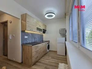 Pronájem bytu 1+1, Ostrava - Výškovice, 29. dubna, 31 m2