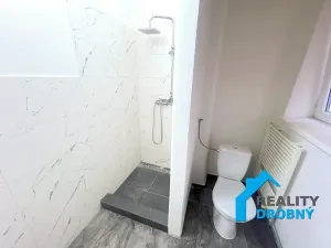 Pronájem bytu 1+1, Děčín, Plzeňská, 32 m2