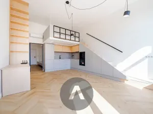 Pronájem bytu 1+kk, Brno, Drobného, 47 m2