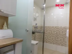 Prodej bytu 1+kk, Králův Dvůr - Počaply, Pod Dálnicí, 24 m2