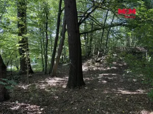 Prodej komerčního pozemku, Řepiště, 3402 m2