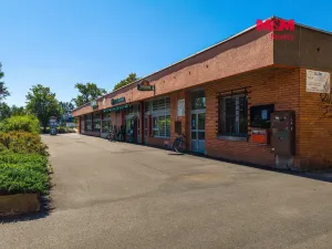 Prodej obchodního prostoru, Český Těšín, Slezská, 900 m2