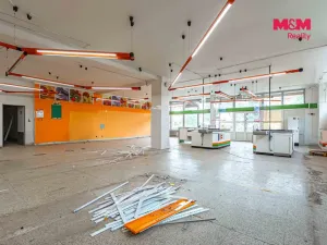 Prodej obchodního prostoru, Český Těšín, Slezská, 900 m2