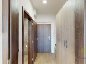 Pronájem bytu 1+kk, Olomouc, Wolkerova, 30 m2