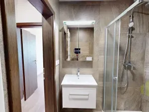 Pronájem bytu 1+kk, Olomouc, Wolkerova, 30 m2