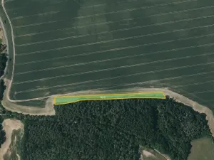 Prodej pole, Kladruby, 6646 m2