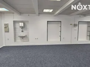 Pronájem obchodního prostoru, Tábor, Herlošova, 75 m2