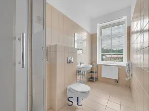 Prodej ubytování, Mikulášovice, 919 m2