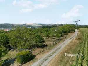 Prodej zahrady, Napajedla, 889 m2