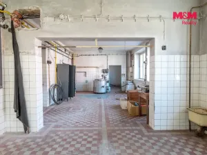 Prodej výrobních prostor, Kolinec, 2640 m2