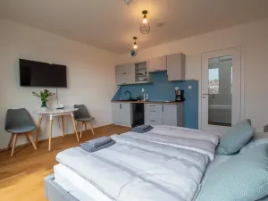 Pronájem bytu 1+kk, Praha, Perucká, 27 m2