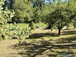 Prodej chaty, Vysoké Mýto, Spálenec, 37 m2