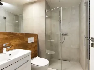 Pronájem bytu 2+kk, Brno, Cejl, 35 m2