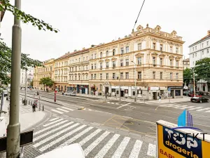 Pronájem bytu 2+1, Praha - Vinohrady, Jana Masaryka, 60 m2