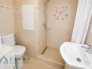 Pronájem bytu 1+1, Liberec, Bezová, 42 m2