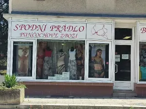 Pronájem obchodního prostoru, Česká Třebová, Nové náměstí, 70 m2