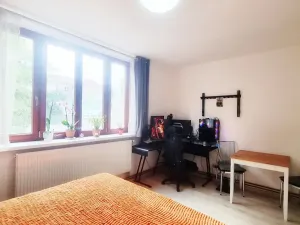 Prodej bytu 1+kk, Brno, Gallašova, 28 m2