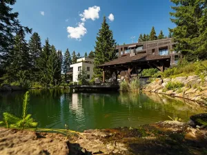 Prodej bytu 3+kk, Železná Ruda, K vodárně, 120 m2