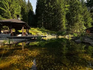 Prodej bytu 3+kk, Železná Ruda, K vodárně, 120 m2