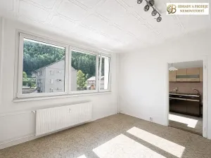 Prodej bytu 2+1, Hanušovice, Na Holbě, 45 m2