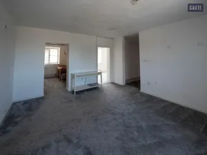 Prodej domu, Vlasatice, 5889 m2