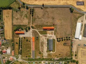 Prodej zemědělské usedlosti, Vlasatice, 5889 m2