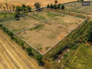 Prodej zemědělské usedlosti, Vlasatice, 5889 m2