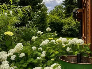 Prodej chaty, Pšov, 50 m2