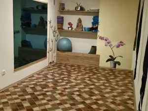Pronájem obchodního prostoru, Praha - Žižkov, Viklefova, 15 m2