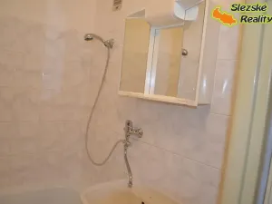 Pronájem bytu 1+1, Ostrava, Mjr. Nováka, 36 m2