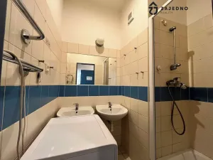 Prodej bytu 2+kk, Brno, Cejl, 32 m2