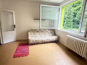 Prodej bytu 2+kk, Liberec, Mlýnská, 33 m2