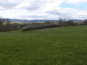 Dražba louky, Staré Město, 10063 m2