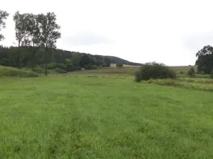 Dražba pozemku, Kocelovice, 5241 m2