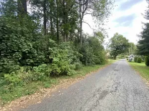 Dražba pozemku, Jindřichovice, 272 m2