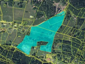 Dražba rodinného domu, Paseky nad Jizerou, 240 m2