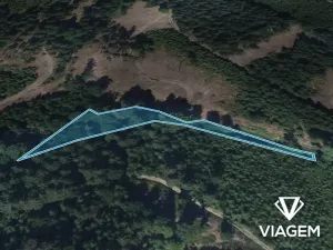 Prodej podílu lesa, Vysoké nad Jizerou, 932 m2