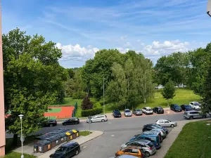 Prodej bytu 2+kk, Čáslav, R. Těsnohlídka, 43 m2
